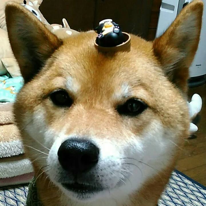 0a728d10 5284 4d90 9669 2826702bff66 1528793475761