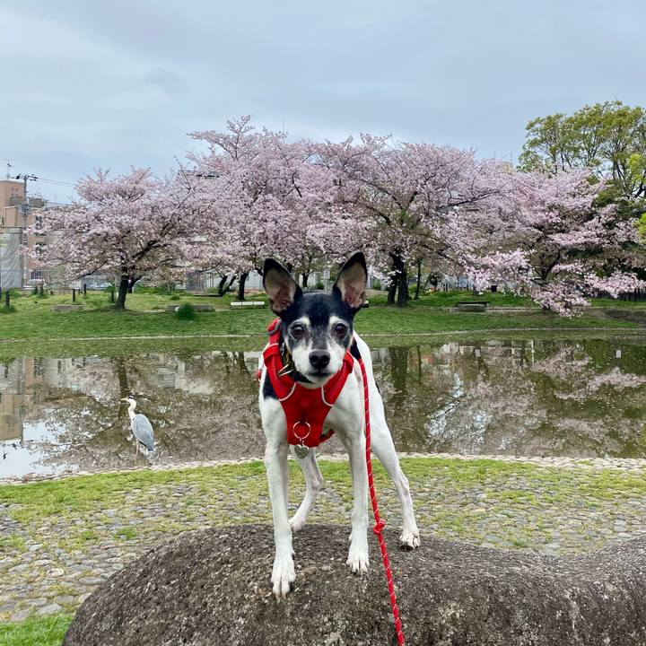 0a72a624 287d 414e 8f4b 6ec2df0d4818 1617509460226