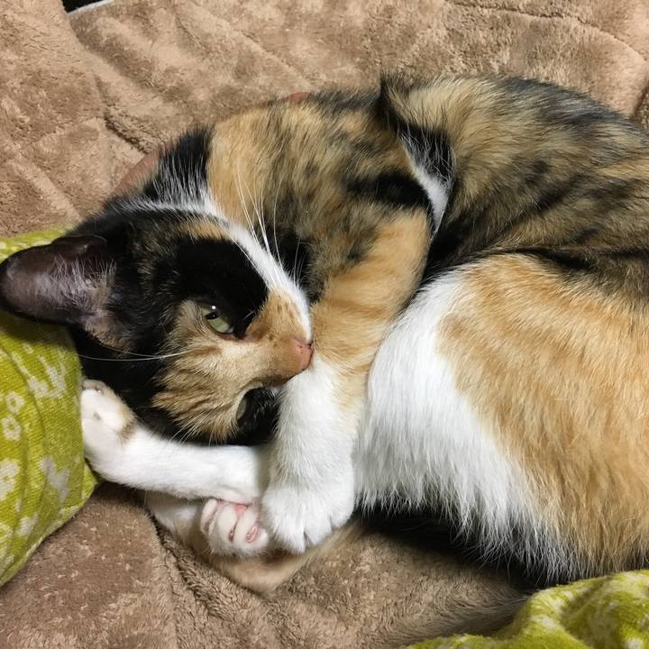 0a72bde7 8bd5 469a ae66 ca6628feceb6 1518772506925