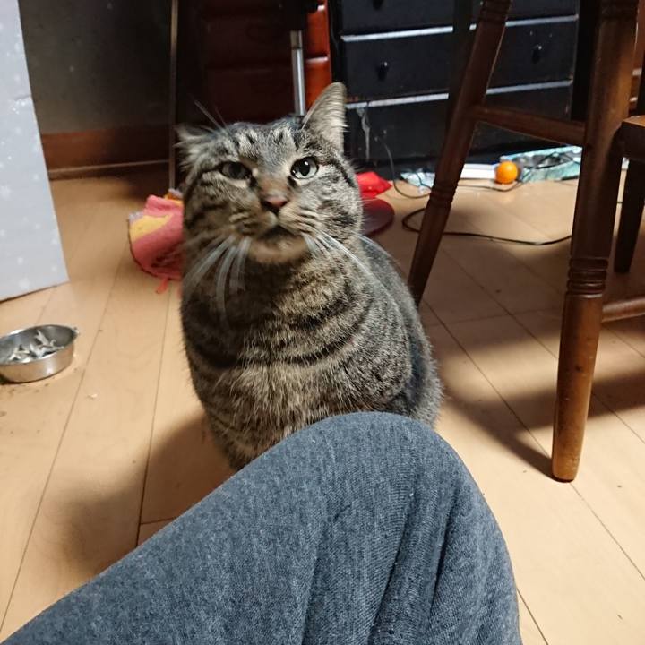 0a72d9d1 be17 4965 b406 b84e88de3f07 1639167742473