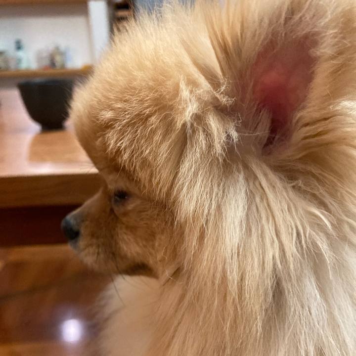 0a730675 ed8f 4016 9d9b 09191c527da4 1682307222383