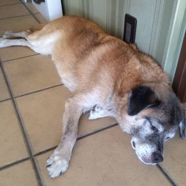 0a730af6 81cc 4f4a b40d a2b665b84e0a 1568684345358