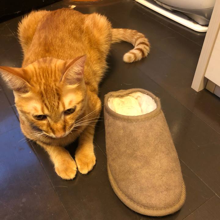 0a730ce1 c9ed 4fbf b287 7c2979b0b0e2 1628415492624