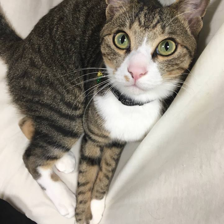 0a731a7d af1f 4ddc b8b4 43f8dc862854 1682908111755