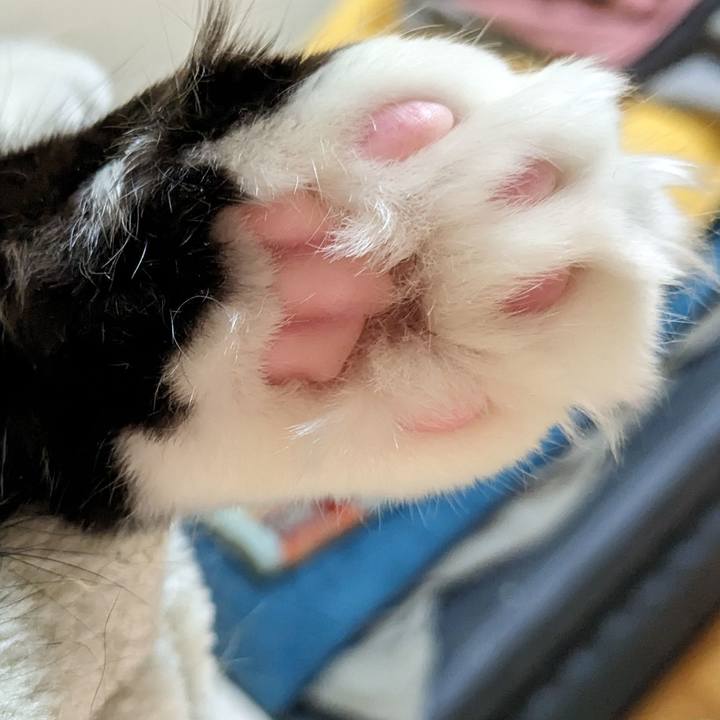 0a732873 5ff3 4651 8066 3d96ffaa46f8 1698298570263