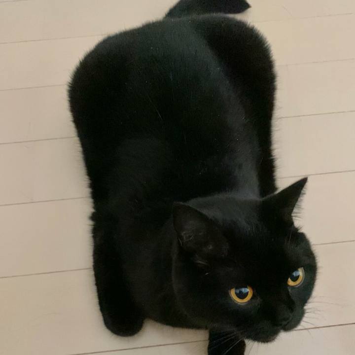 0a73854d 413c 4b59 be3c 2a00e7c443dd 1631053166606