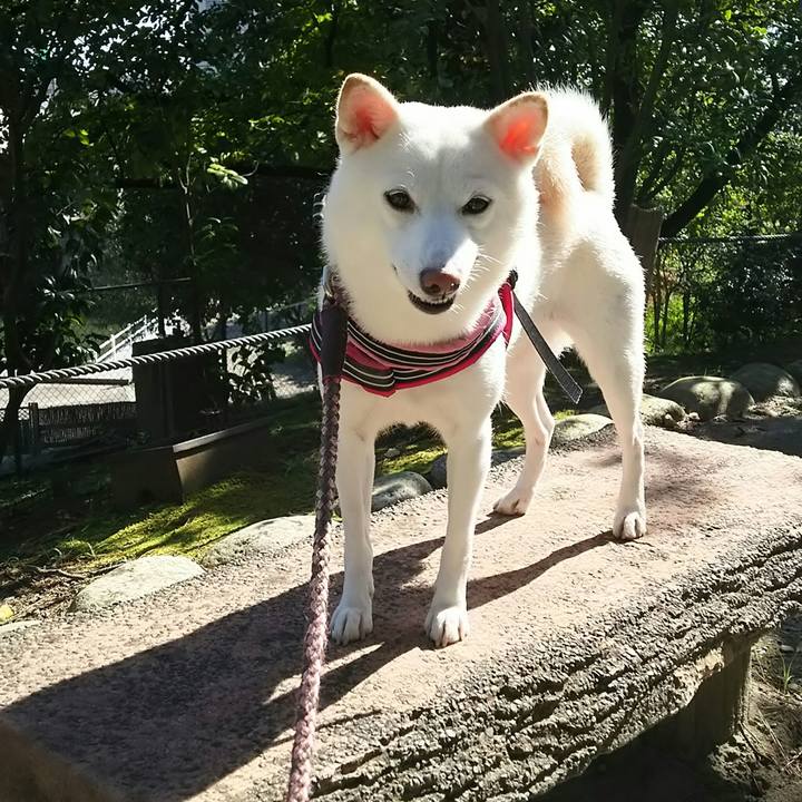 0a73914d c32f 4806 b3fc 0c9af5112e0f 1540520211309