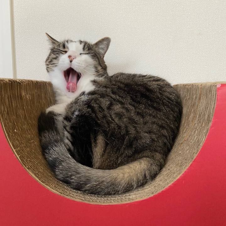 0a739bfa fc38 483b 9c7c 9b7af9b24a91 1652918348639