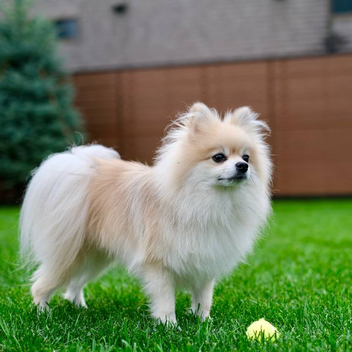 0a73daf3 9e70 4a74 afdf c695f7461b9d 1760223418057