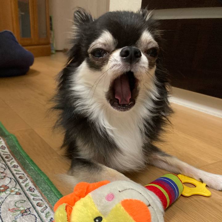 0a73ed3b 7b5d 4bb9 9c66 5d831f1db47d 1663421783647