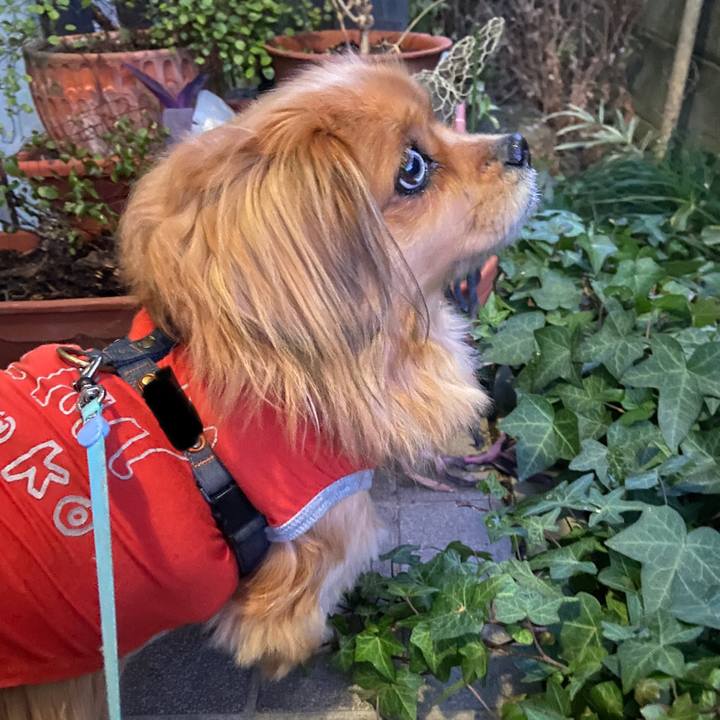 0a73f403 1e8a 4cd4 a7f3 e8a266aaf363 1645133867244