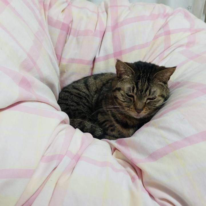 0a741069 0f59 4274 aad1 5580f94d3ef6 1551735055231