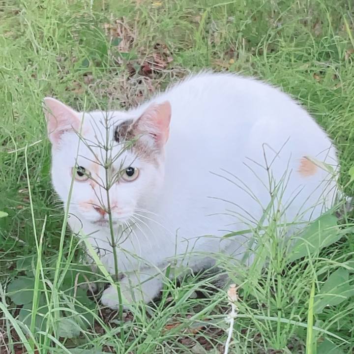 0a74411f cb3c 415c bc9d e4bf19511578 1690027939708