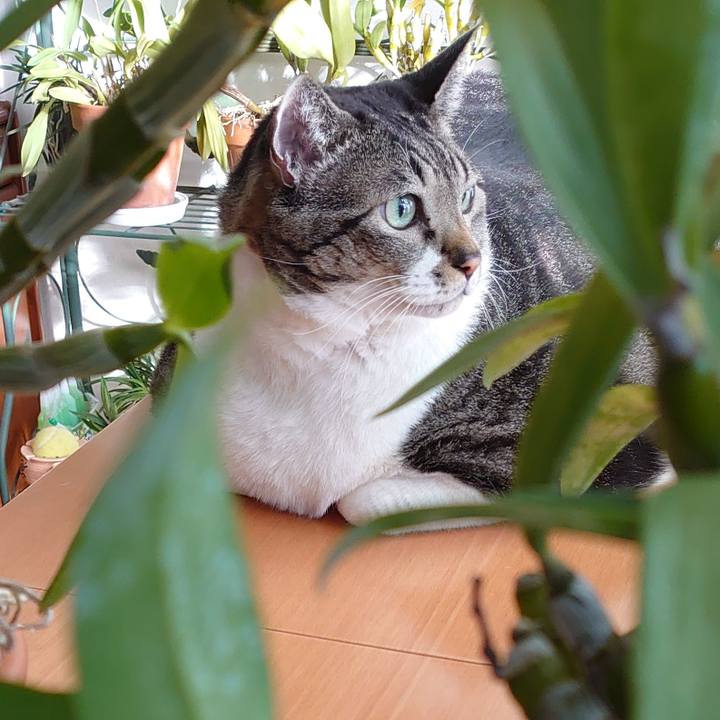 0a747f71 ca3d 4603 91de 7e49d73f1f26 1608681005482