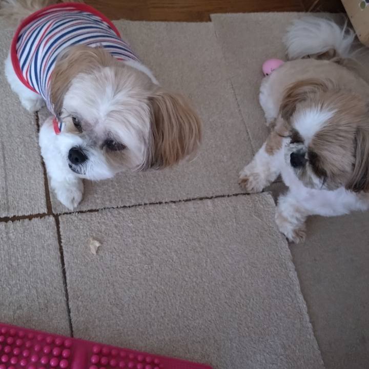 0a74ae85 eca2 4bac aa59 78d303dbaa3e 1718322064264