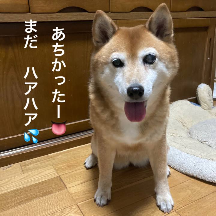 0a74bac2 1b63 4c39 b436 ef4961cde8cd 1656233857019