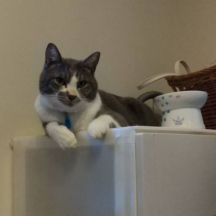 0a74cf58 6d20 428e bb05 41ff5f22ae30 1629624560556