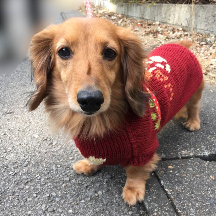 0a750512 c5dd 462b a0d0 945b551f1564 1518703607976