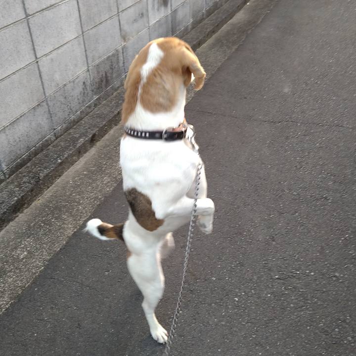 0a7511e9 a0ec 4f0c 81e2 28b7b353efa0 1650200085996