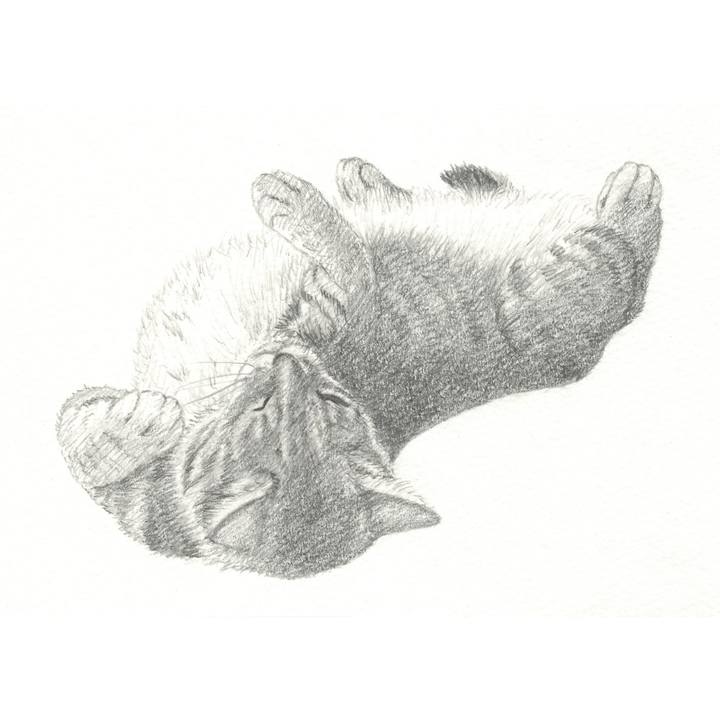 0a751a44 84f5 4818 a3c9 c0f72ee93ca5 1539955923516