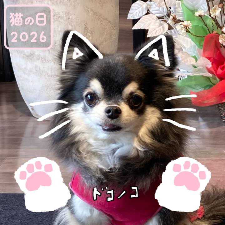 0a752e51 9274 4e53 b768 476df3452182 1771760083893