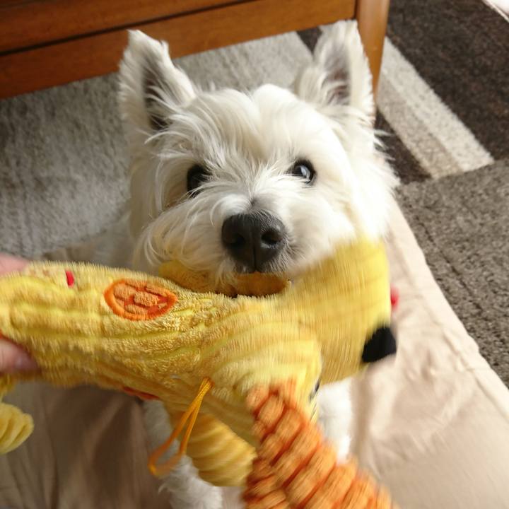 0a7531d7 56c3 4771 9a97 e2ac9653dd59 1525230146058