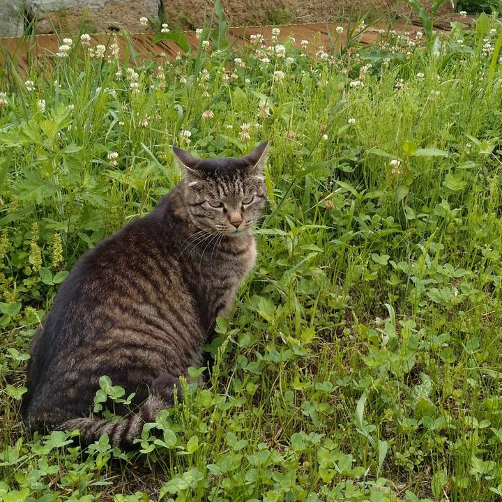 0a758dc1 6730 4895 a960 6a501e744a2f 1688688007278