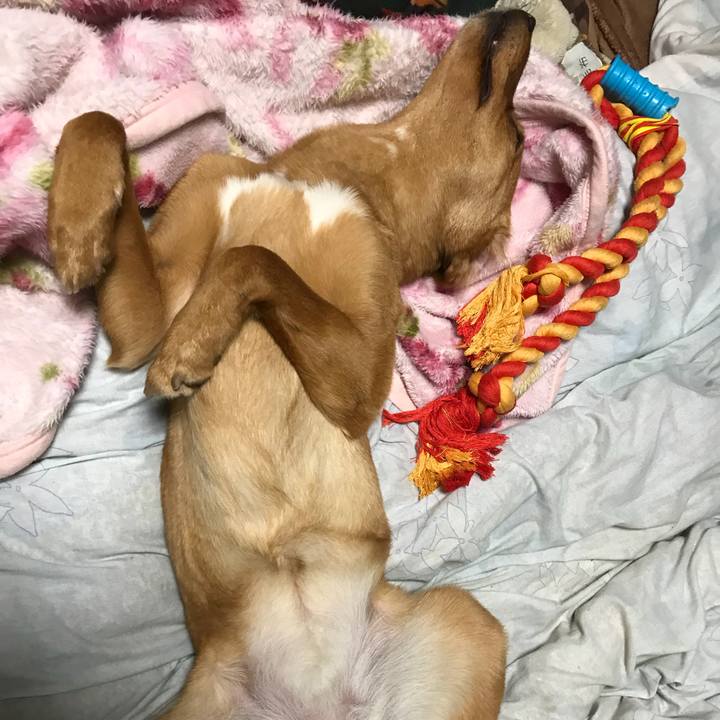 0a7604a1 3591 44e6 adf9 d5719e388588 1523012633730