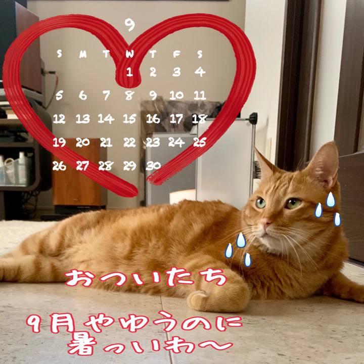 0a7610b7 0761 44a7 9d18 50b99e8d67d4 1630448577773