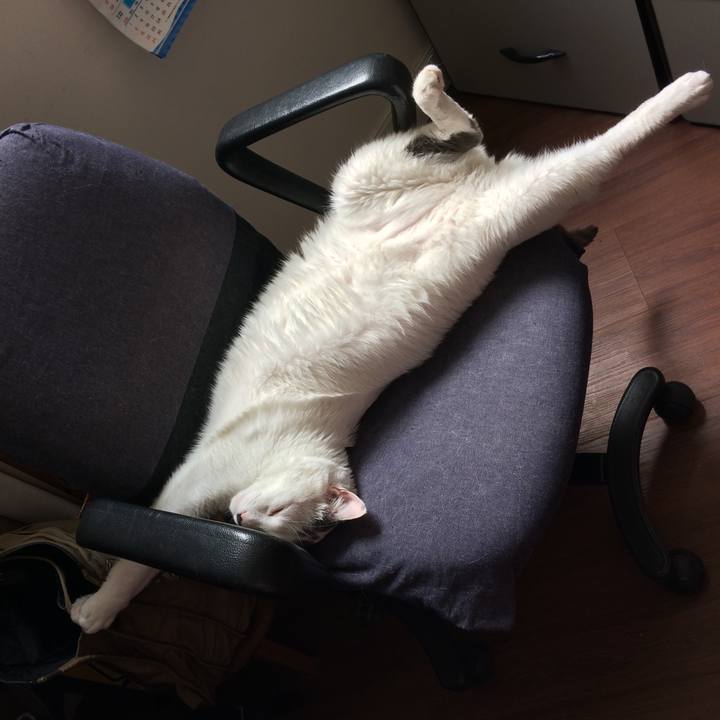 0a762416 c6ba 4dd5 9297 f1e6267c22da 1519591423463