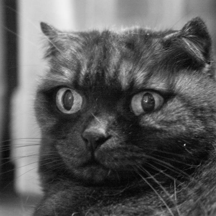 0a763faa ab04 4c61 9c04 ecca183f9814 1617016063342