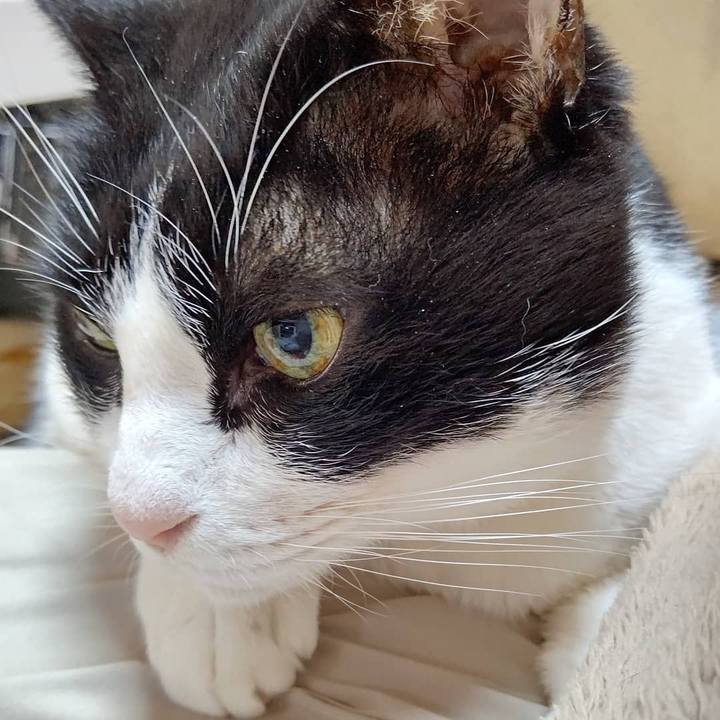 0a76789b d1b4 4727 815c 705a28aea485 1609546753181