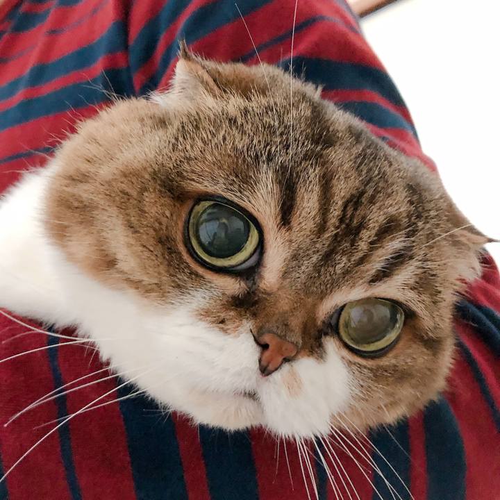 0a768886 7cae 45e8 8571 6a47e2b1a4be 1584799383626