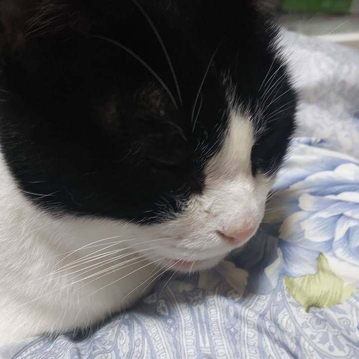 0a76b98c 4c00 4eef a5ab d57bf0874164 1579268699626