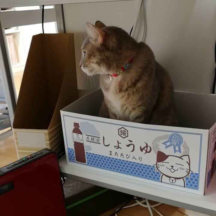 0a76cd2c 0c28 4f31 bfa1 df51fd3a788e 1546824739720