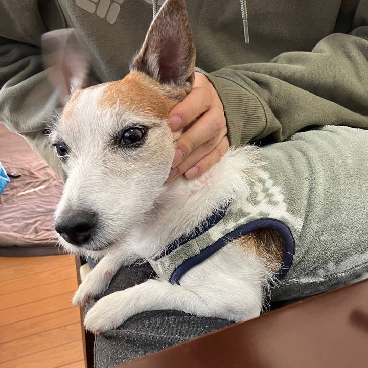 0a76e1c9 f2bd 42d9 8c79 16f18956bc7f 1704591778510