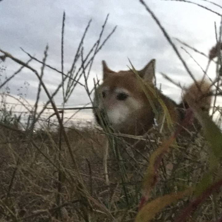 0a770199 3349 4226 9c47 57d2b7d108c4 1605184642407