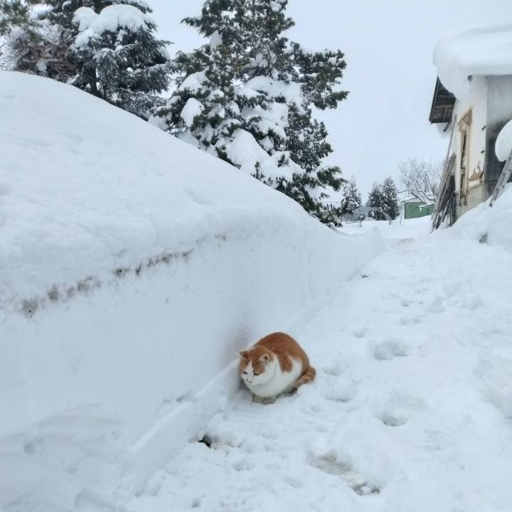 0a7723d1 90e6 43e4 aced cff529c4fb28 1769251571434