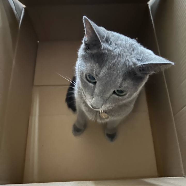 0a772660 03c4 48a5 b4dd 4bf2112a4a9a 1691889325499