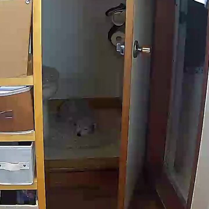 0a774294 1437 4c79 8866 960506a9bb49 1645071229394