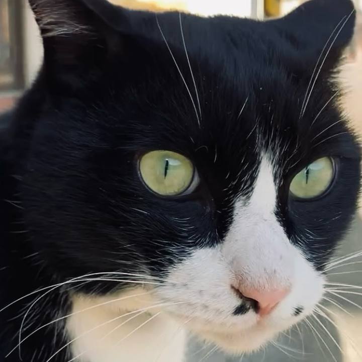 0a7785cd 0898 4172 8e0b e5f372e98959 1733124206097