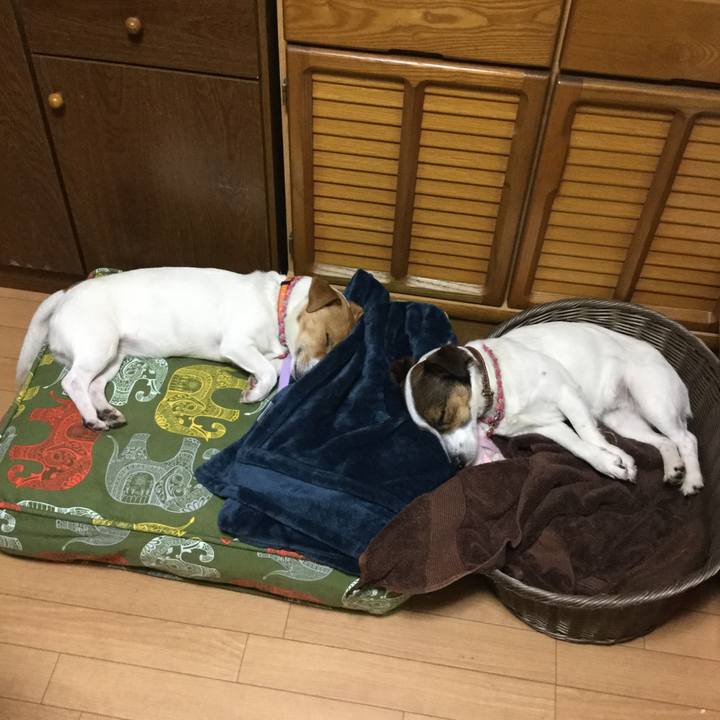 0a778da8 0c3f 4c96 af89 fdc56ae73c8f 1526124953622