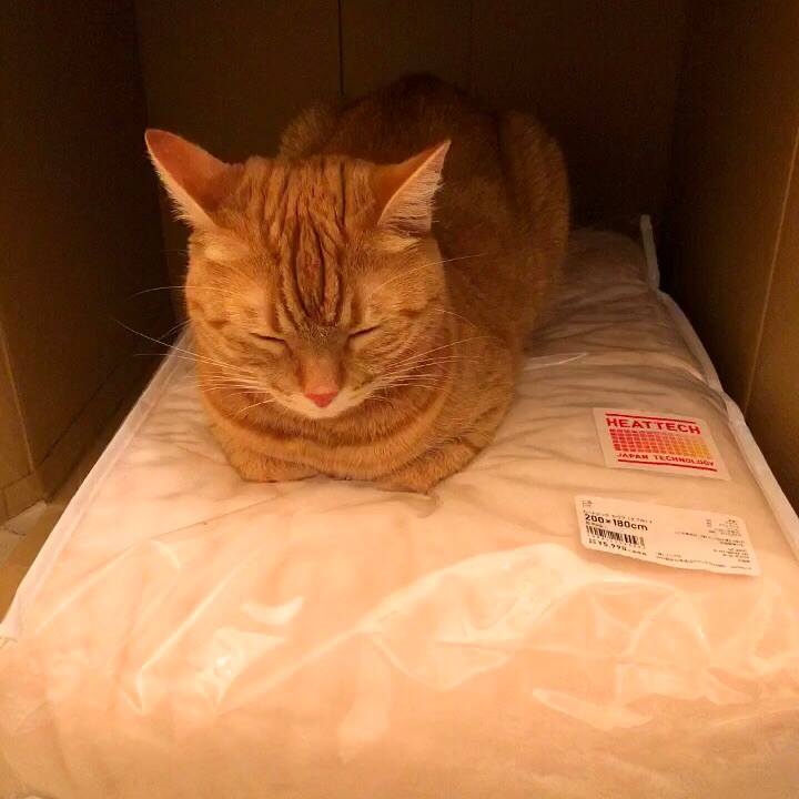 0a77c8b2 7c58 4731 8887 bc00b8c0abf0 1546686268301