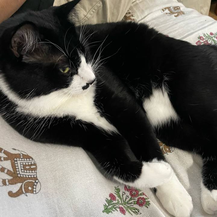 0a77ebb3 bdd0 4889 9ce8 a091252aeb08 1663057197373