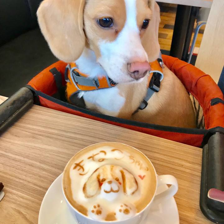 0a77ff09 c60f 4e44 946f 83d76b3f8878 1546657829206