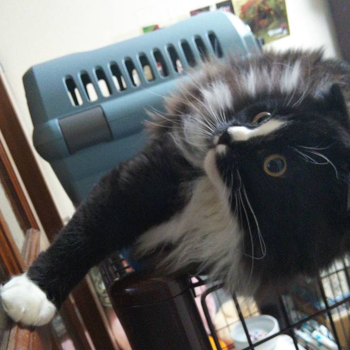 0a780f34 5919 4145 909f 0ac5bfc1215b 1655128987593