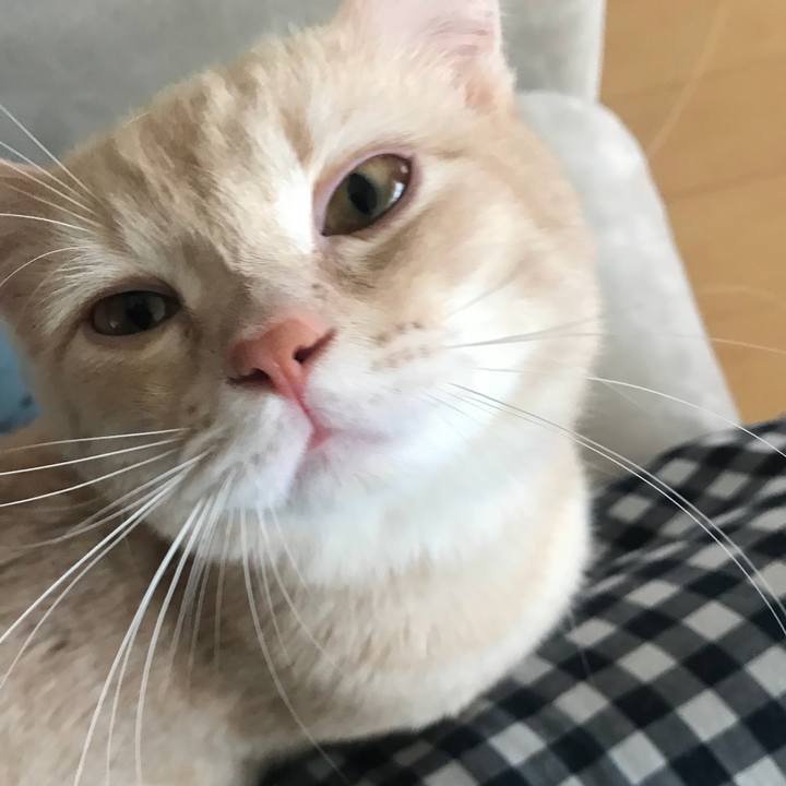 0a782ad2 b107 4d76 a977 6f1610b1f91d 1522209492318