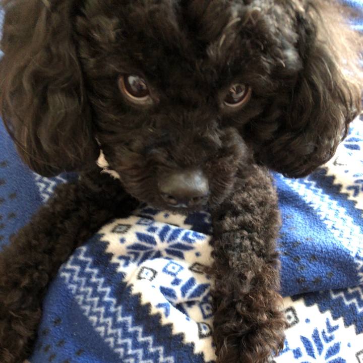 0a7859d0 fd96 483f b7fb cb9335feeca7 1554257318586