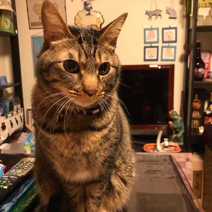 0a7865e0 342a 4da1 8519 f0b37af16509 1609676609808