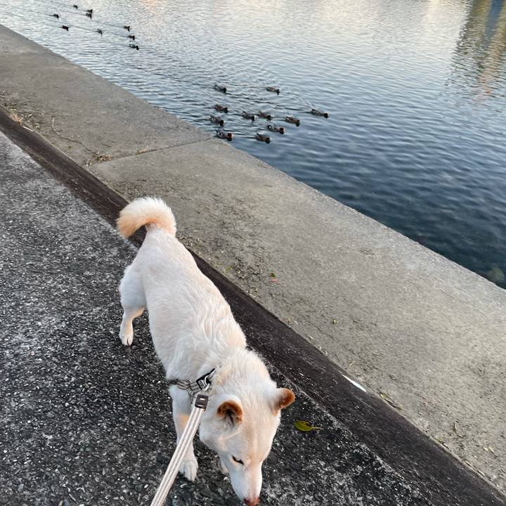 0a787711 e974 4281 8de2 e5a003d54cb8 1637930671250